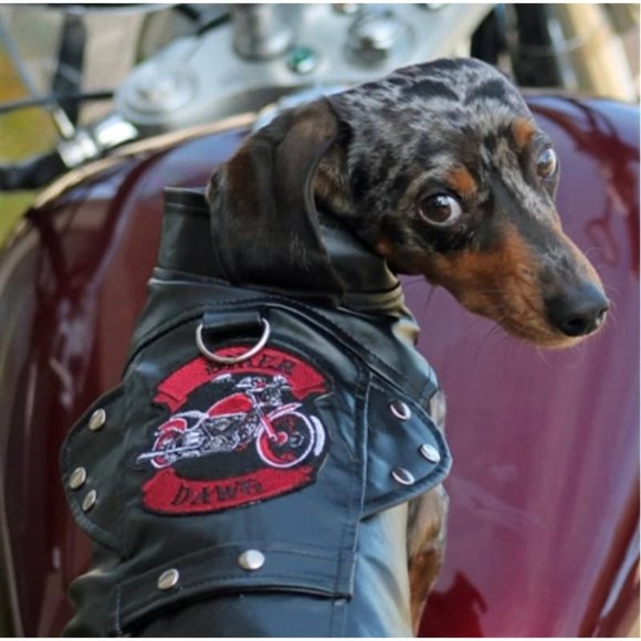 Custom Dog Motorcycle Jacket - Picture 3 of 8
